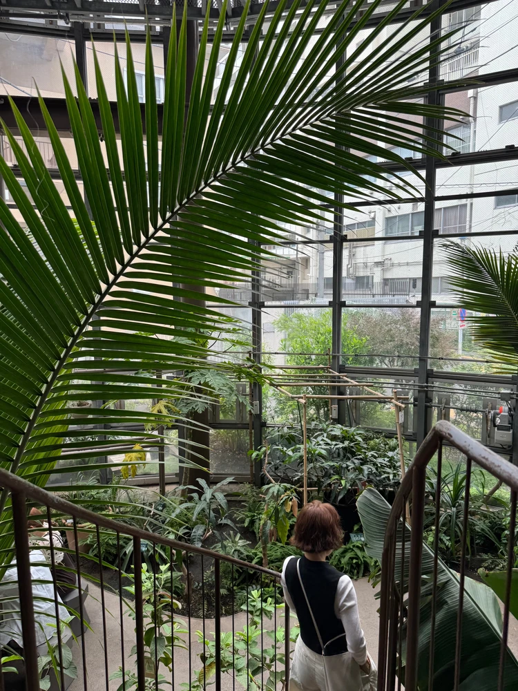 【渋谷駅から徒歩約10分の植物園】渋谷区ふれあい植物センターなら雨の日も楽しめる！_12_2
