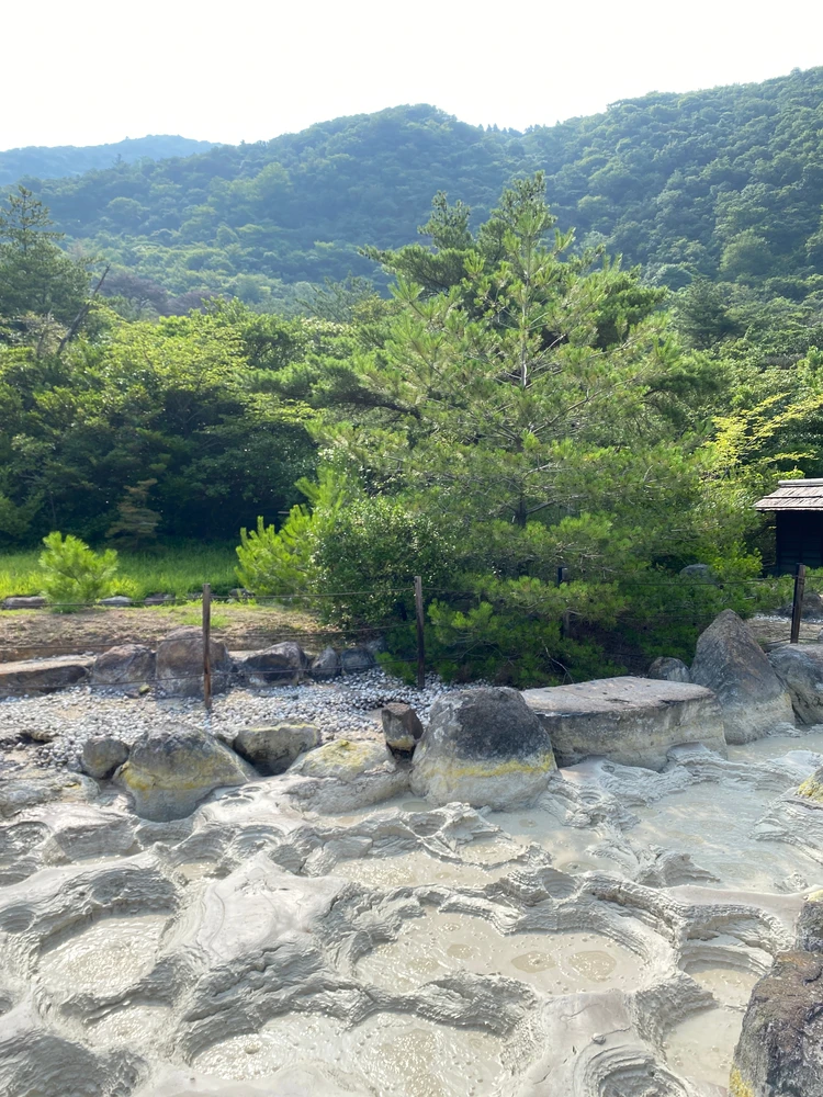 源泉　地獄　触ると火傷するそうです