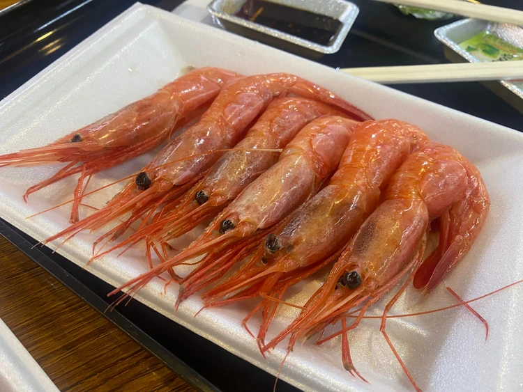 【京都・天橋立 美食旅プラン】海の幸を楽しむ、1泊2日のご褒美旅 #旅行部_19