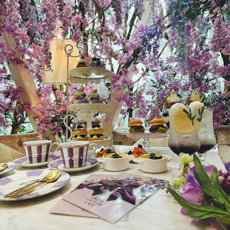 【表参道で楽しむアフタヌーンティー】約3000本の藤の花が降り注ぐ夢のような空間で…｜HAUTE COUTURE CAFE_7