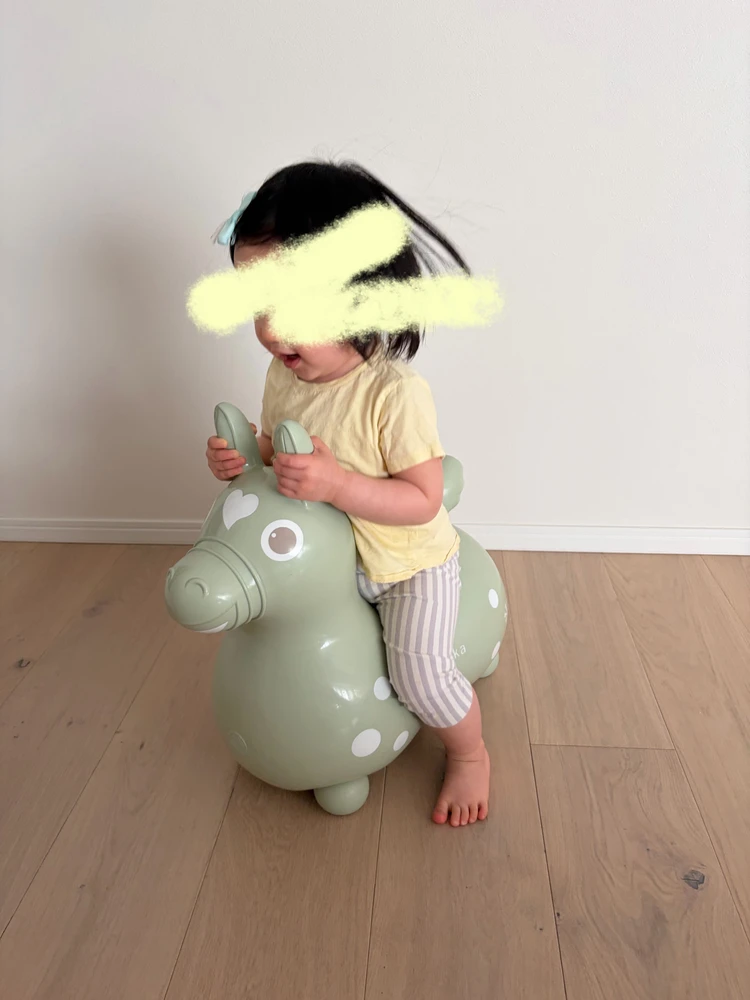 【子どもの玩具】インテリアに馴染むくすみカラーのロディ_6