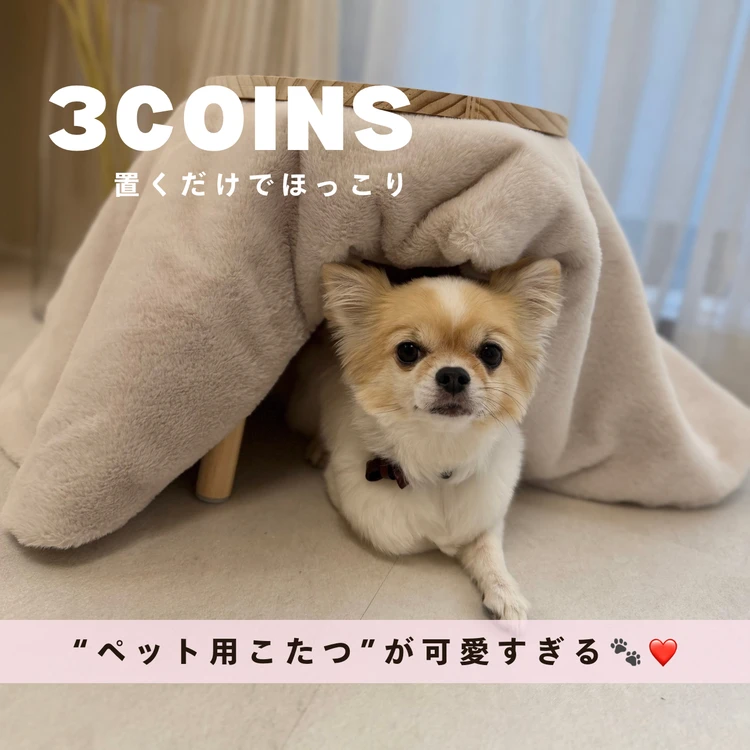 【フォトギャラリー】温活グッズをチェック！_0