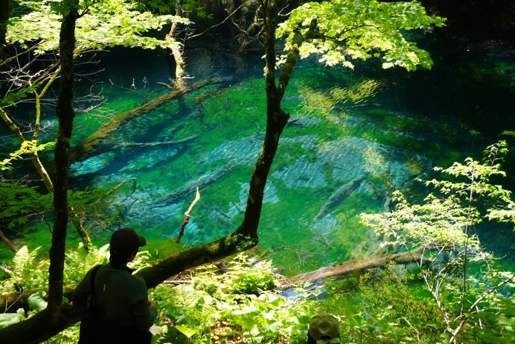 【2日目｜青森】十和田湖と白神山地を巡る大自然の東北絶景旅_6_2