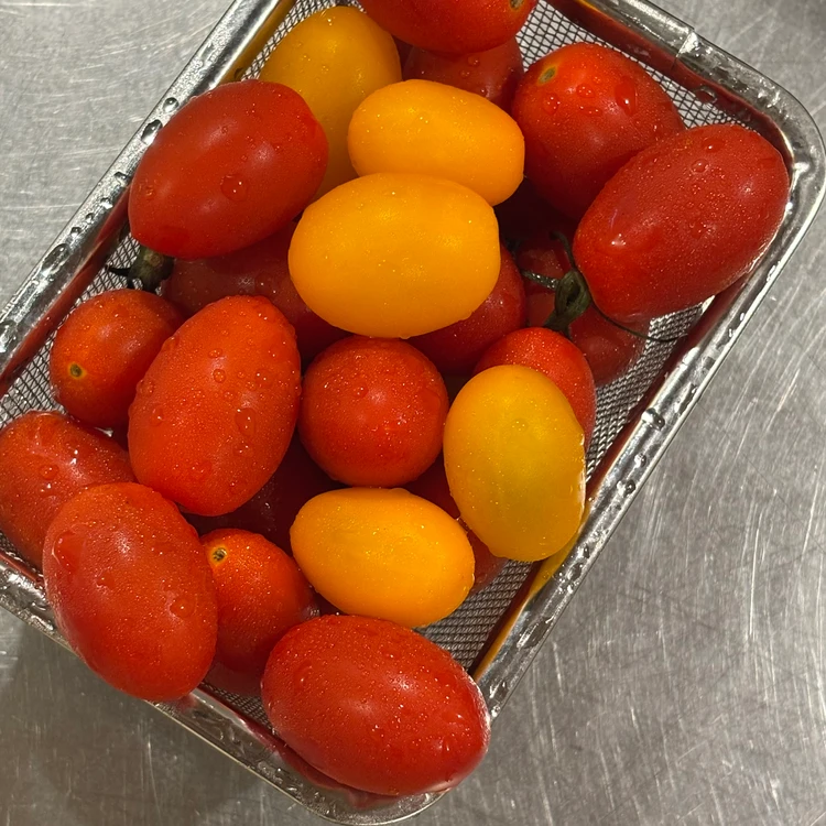 たっぷりのミニトマトの写真