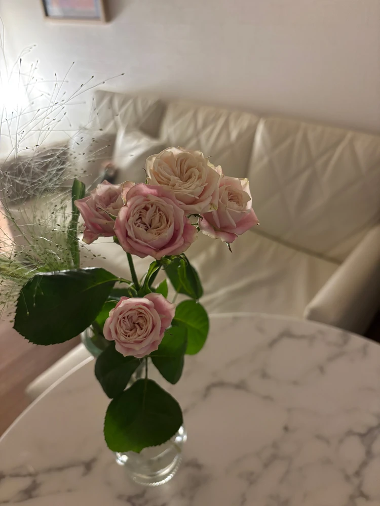 部屋　バラ　室内　インテリア