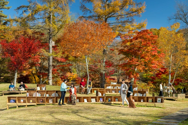 【星野リゾート】紅葉と川のせせらぎに包まれる「軽井沢紅葉図書館」がエリアを拡大して今秋も開催!