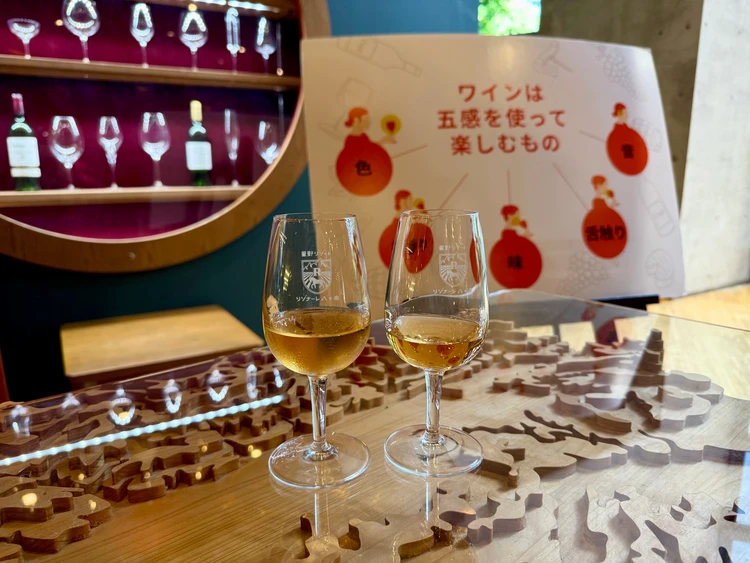 リゾナーレ八ヶ岳　アクティビティ　ワインの学校