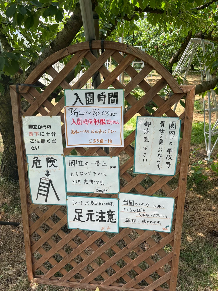 【初夏の群馬日帰り旅】今が旬のさくらんぼ狩り🍒・水沢うどん・伊香保神社を満喫♡_3