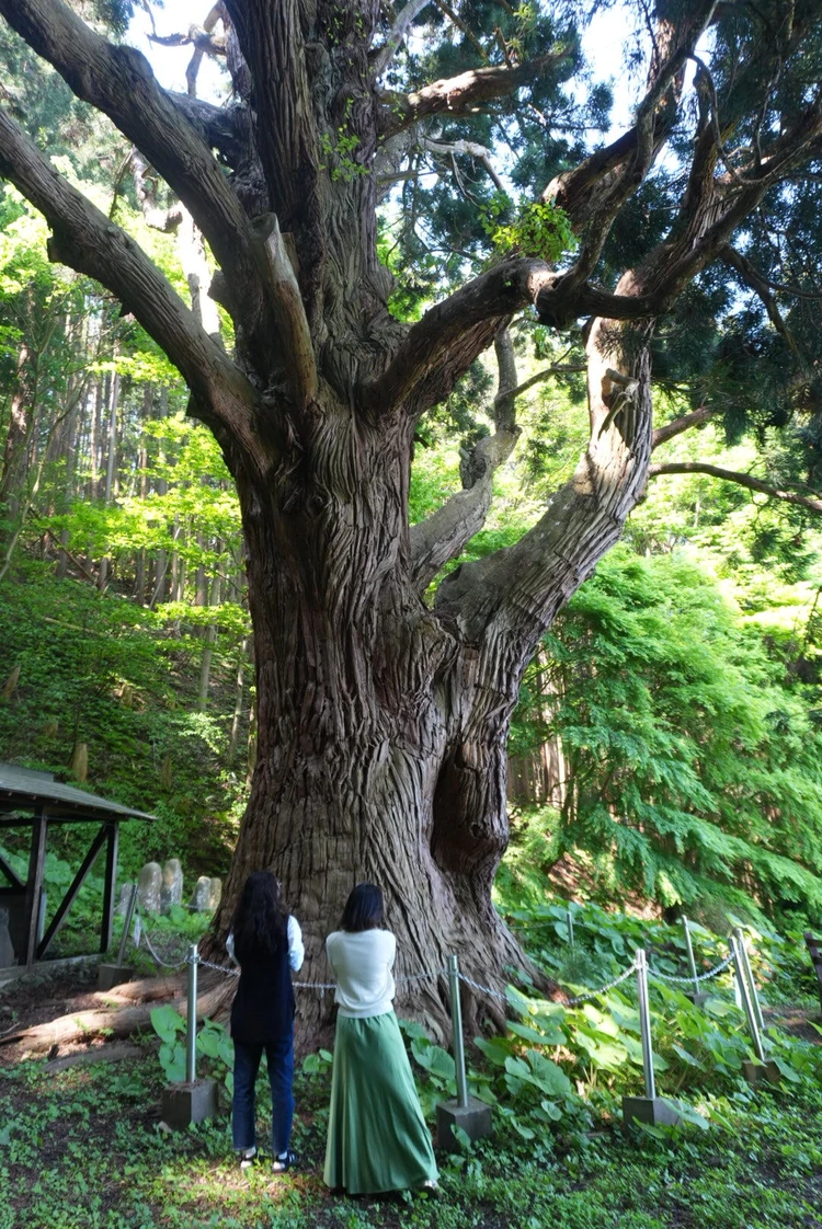 【3日目｜青森】県立美術館・三内丸山遺跡・A-FACTORYを巡る青森よくばり旅_4_1