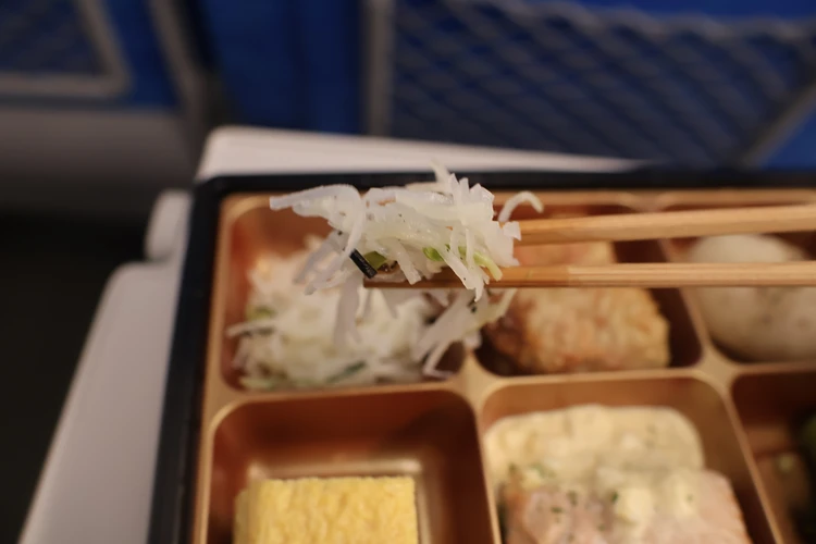 東京駅でダイエット…ミシュラン三つ星９種デリの糖質オフ駅弁が美味しすぎた_5