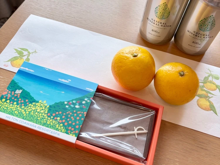 都心から約1時間！家族で過ごすヒルトン小田原のんびりステイ_3