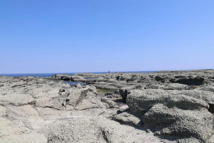 【3日目｜青森】県立美術館・三内丸山遺跡・A-FACTORYを巡る青森よくばり旅_2_1