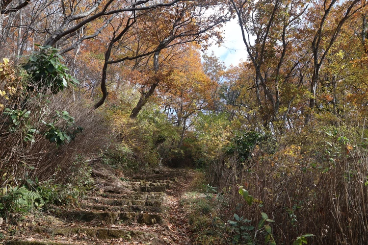 【登山デビューしました】福島・絹谷富士で紅葉と海を望むパノラマ絶景を楽しむ【ゆるく低山から第一歩】_8_2