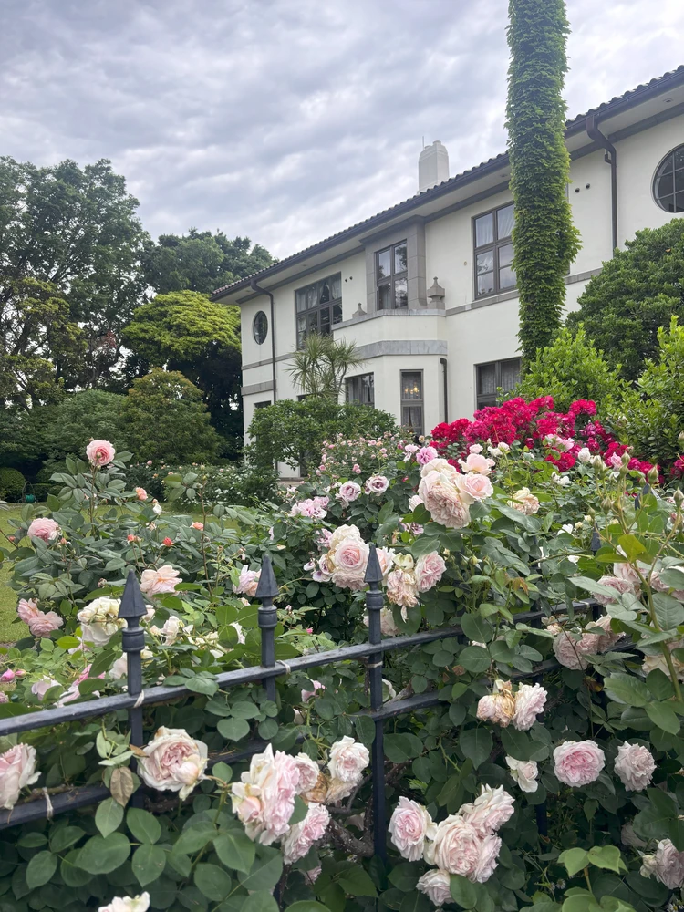 【横浜】圧巻!港の見える丘公園でバラに癒されるひととき_3_3