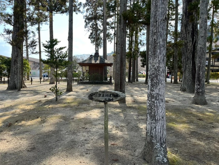 【仙台旅行】最高の景色とお買い物🤍瑞巌寺・観覧船・うつわ・焼きたて煎餅・日本酒と牡蠣🦪松島_3_2