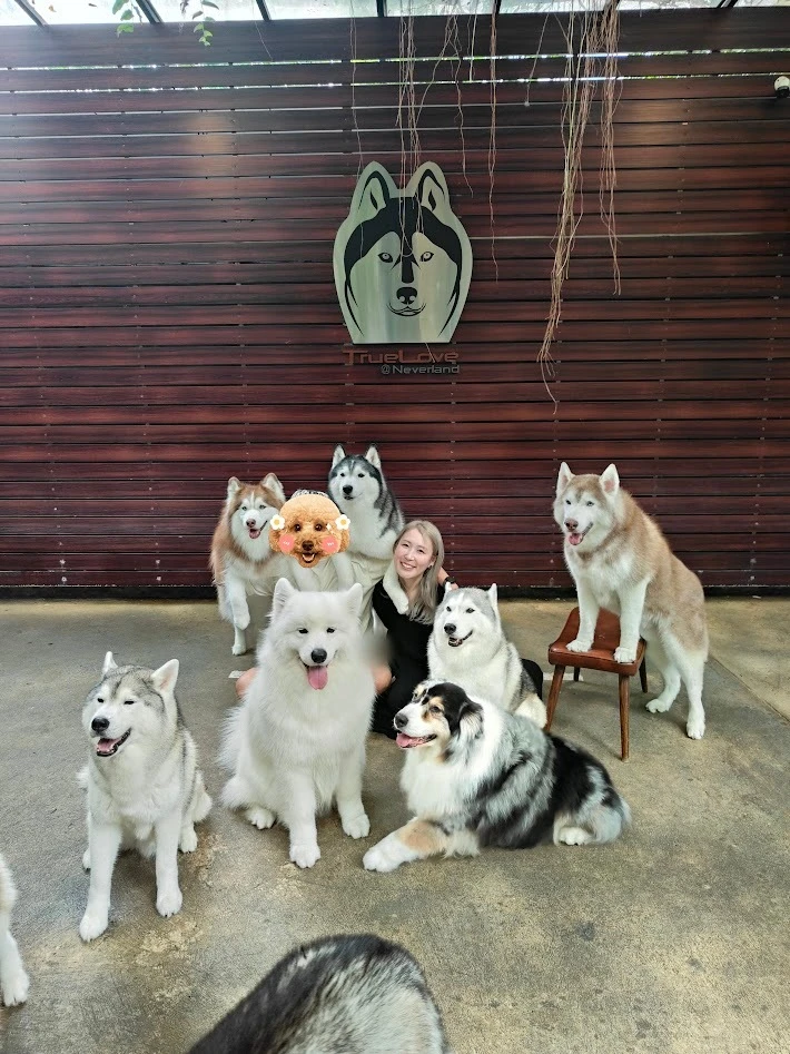 ハスキーカフェ　バンコク