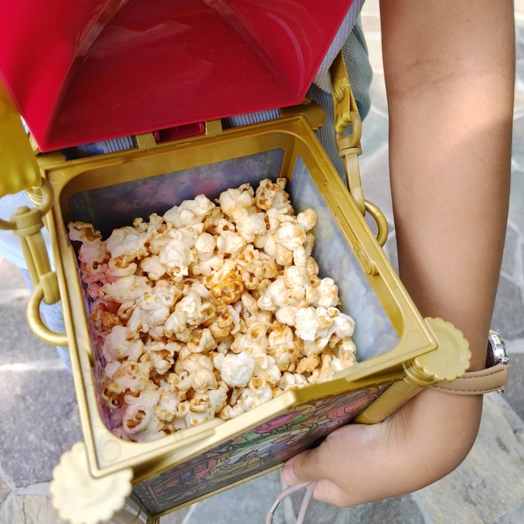 【ディズニーランド】アトラクション休止が多いこの時期の楽しみ方を紹介！_3_1