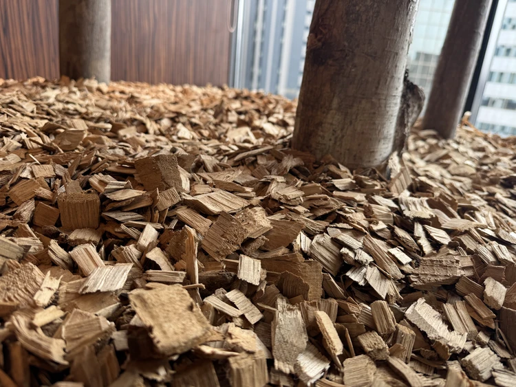 札幌のホテルは朝食が豪華ってホント？ホテルグレイスリー札幌で体験した“北海道らしさ” 【北海道旅行記】_6