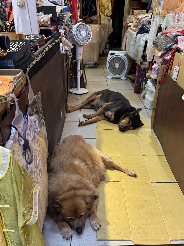 【台湾】九份も台北101もFunPASSでコスパよく観光！台北エリア2泊3日モデルコース【前編】_10_1