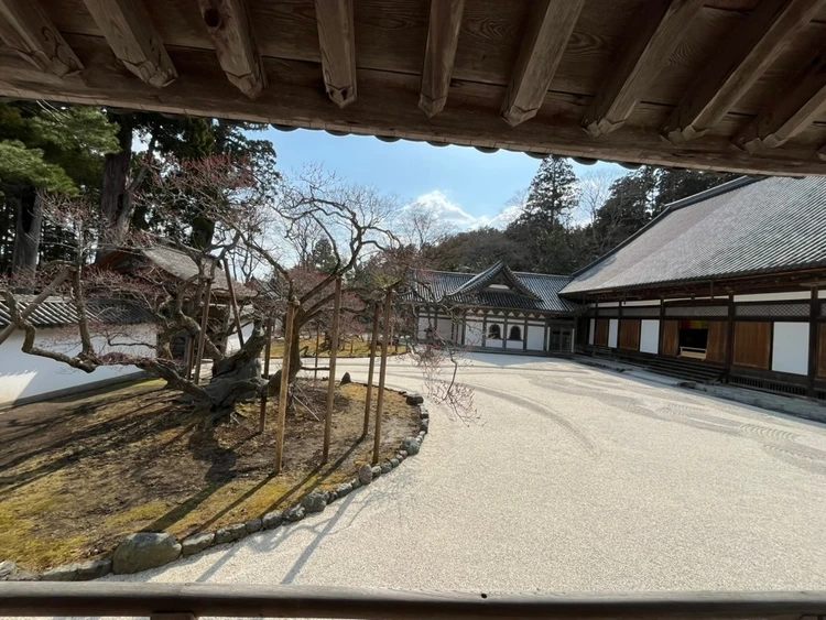 【仙台旅行】最高の景色とお買い物🤍瑞巌寺・観覧船・うつわ・焼きたて煎餅・日本酒と牡蠣🦪松島_2