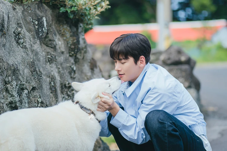 サムダルリへようこそ 犬のサムダルを愛でるヨンピル