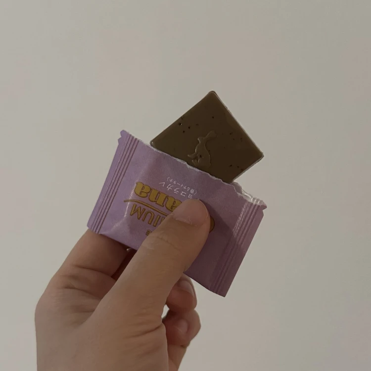 【デスクのお供に】プレミアムガーナショコラカレでプチ贅沢気分_2