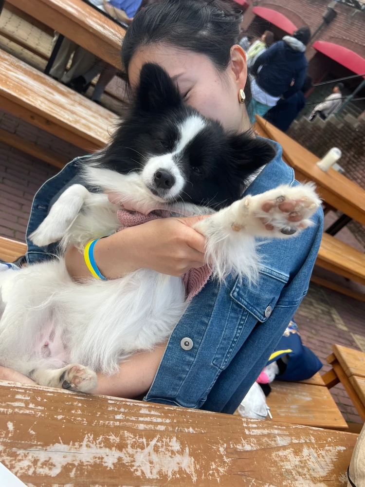 バラに包まれる初夏のハウステンボスへ♡ワイン祭りも開催中！_19_1