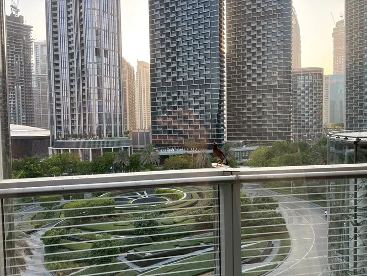 世界一の絶景レストランで味わう“空中ディナー”体験_2