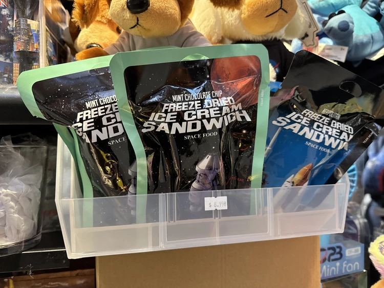 ヒューストン アメリカ ジョンソン宇宙センター お土産 宇宙食