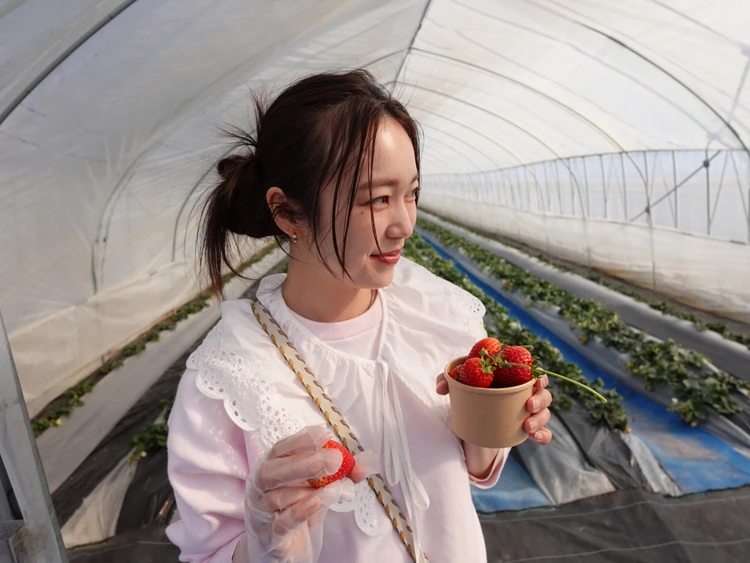 ロイヤルクイーン