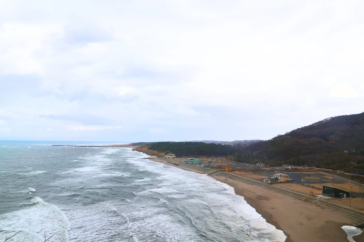 【新潟】登山口はまさかの海!? 角田山で標高0mから"青すぎる"登山【登山日記】_4