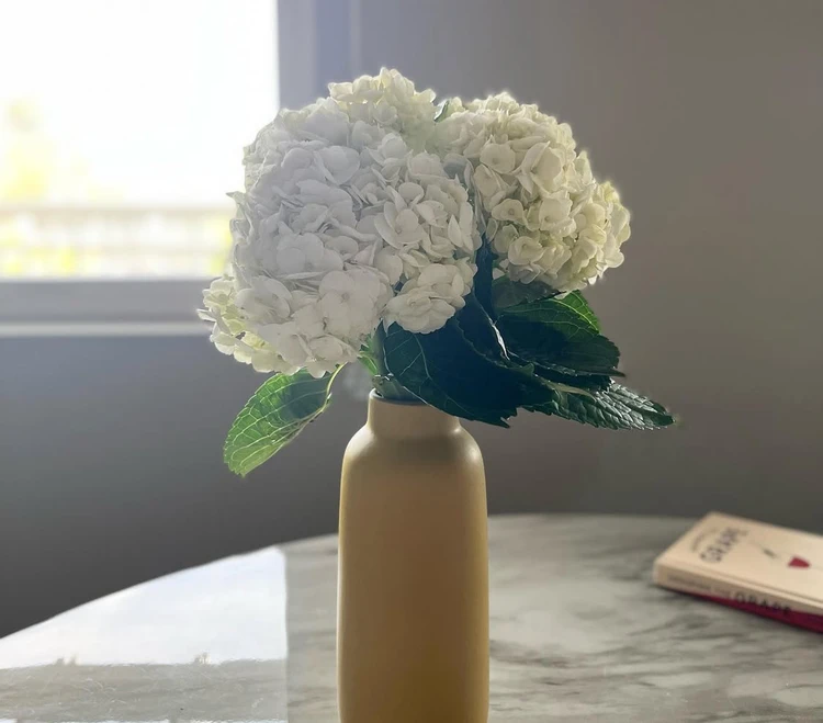 食器ベストバイは米カリフォルニア発”ヒースセラミックス(HEATH CERAMICS)")”_11