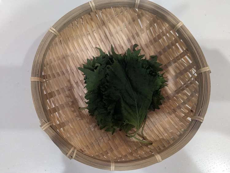 大葉