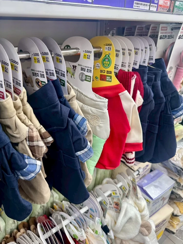 【韓国ダイソー】GWの渡韓で絶対買い！「ペットのご褒美天国」ルポ_1_2