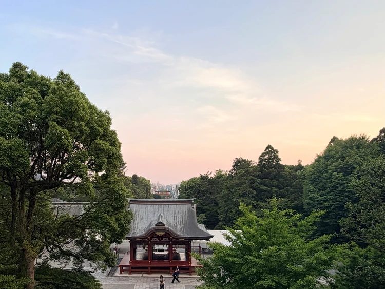 鎌倉 鶴岡八幡宮 紫陽花 観光 お参り