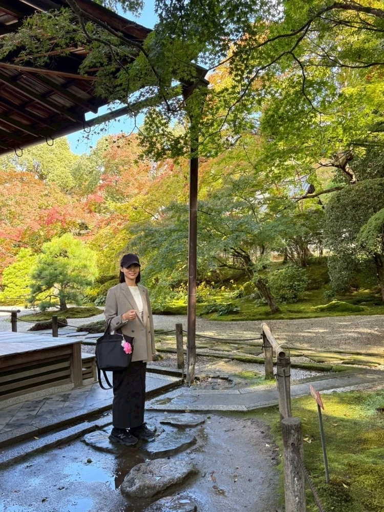 庭園から見えるグラデーションの紅葉