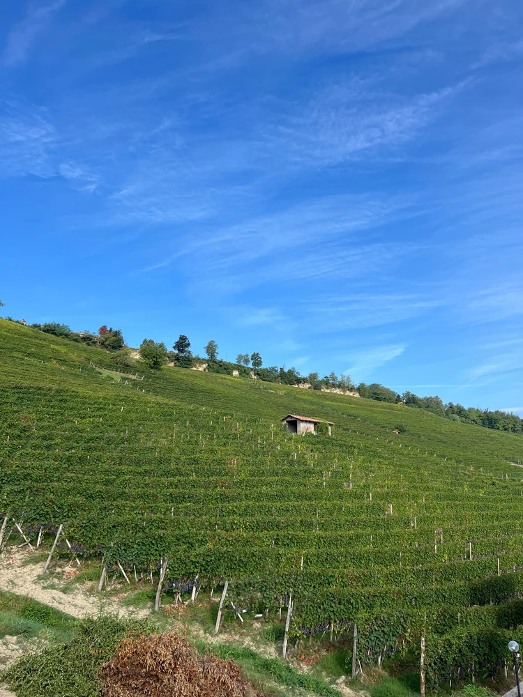 一生に一度は訪れたい。イタリアワインの贅沢旅【バローロ編】_3_2