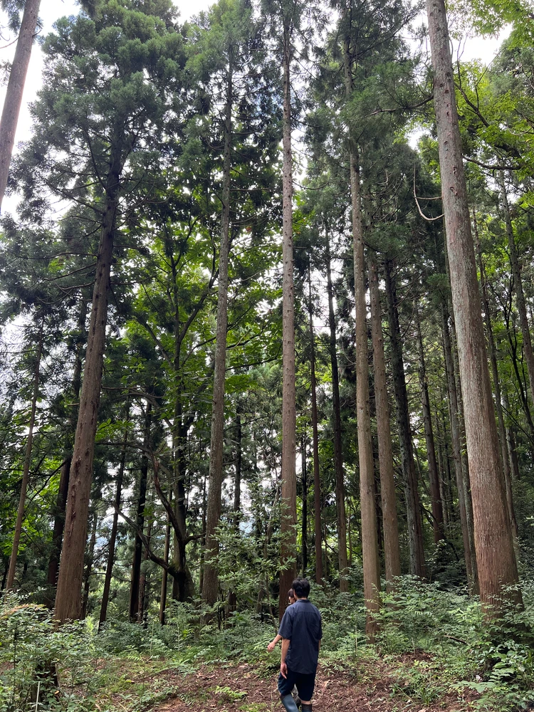 【富山旅】誕生日旅行で憧れのL’évoへ_20_2