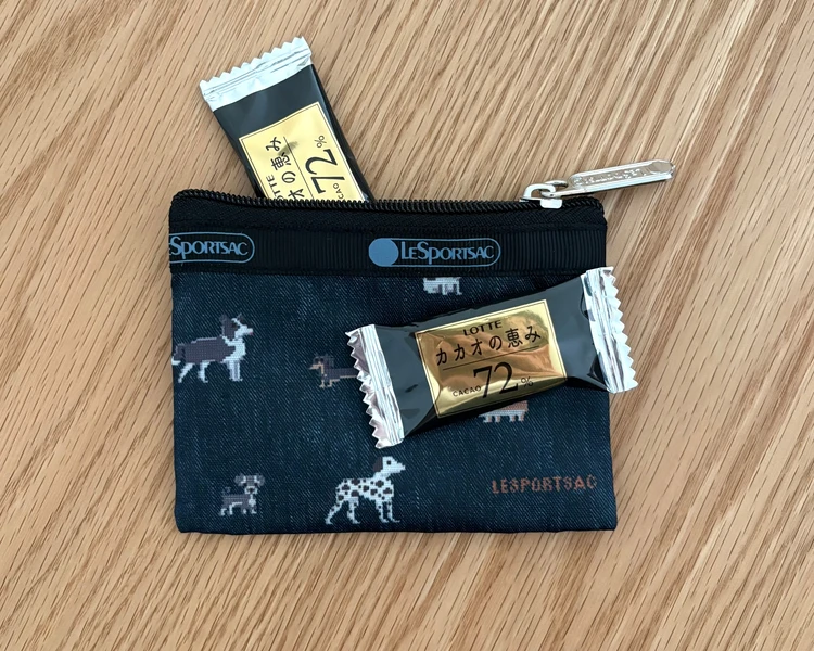 わんこ柄にキュン♡BAILA4月号付録のポーチが日常使いに最適_6