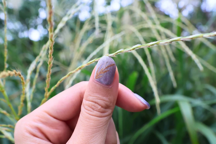 秋をシックに彩るシルバーマグネットネイル（中秋の名月ver.）_2_1