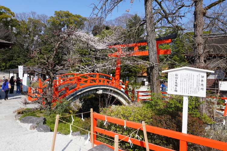 【下鴨神社】御手洗池