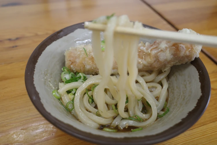【香川・小豆島旅①】絶品うどんから至福のスイーツまで！初夏の高松グルメ巡り_4