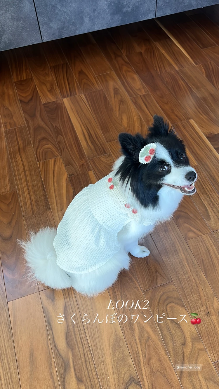 【愛犬の夏コーデ♡】注目のmonchériの涼感ウェア_4
