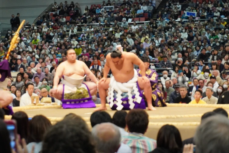 【私の推し活】夫婦でハマった大相撲｜大阪場所を観に行ってきました