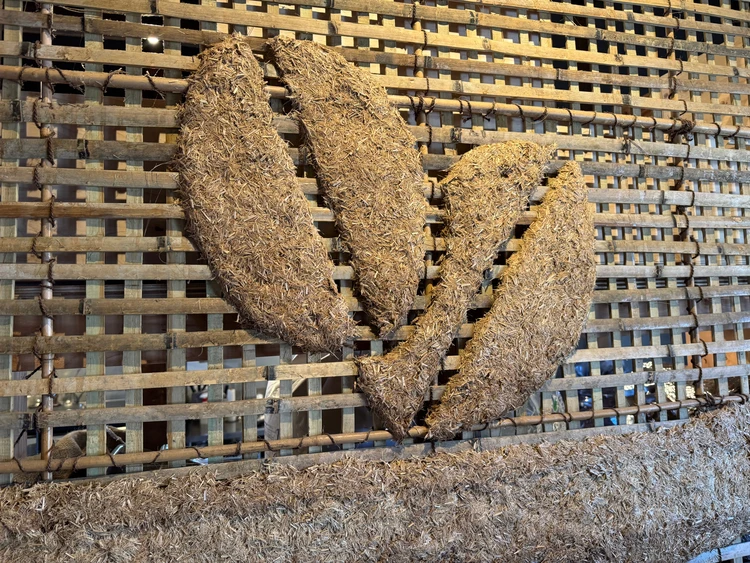 ザ・コーヒービーンズ　鳴門コーヒー専門店　徳島コーヒー　徳島カフェ　徳島観光　鳴門カフェ
