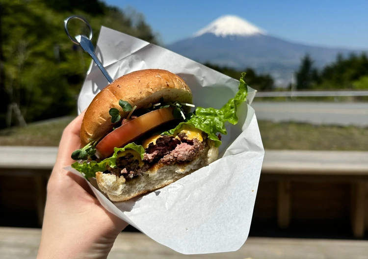 絶景富士山 FUJIMICAFEであしたか牛の絶品バーガー_3