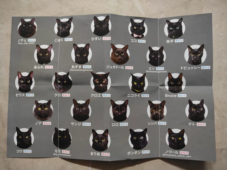 黒猫あわせ　カードゲーム