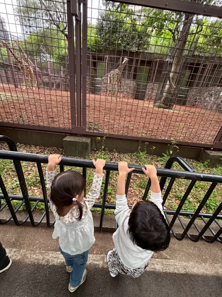 【子連れお出かけ】in東京🗼定番の上野動物園🐘_2_2