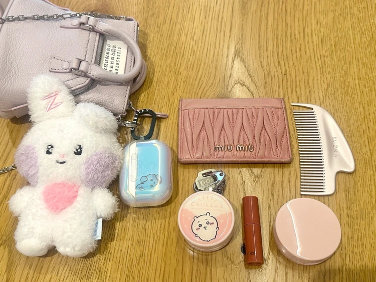 バッグに入ったもの