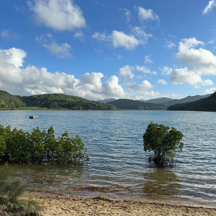 【西表島ひとり旅・ホテル編】西表島ホテル by 星野リゾートで気ままにおひとりさまステイ_12